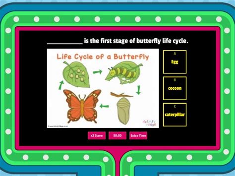 Butterfly Life Cycle - Gameshow quiz