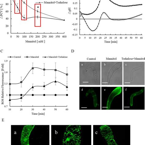 Growth Of Suspension Cultured Watermelon Cell By Different Treatments