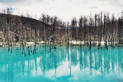 The Shirogane Blue Pond: Japan’s Stunning Sapphire Pond – Unusual Places