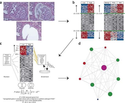 Integrative Molecular Concept Modeling Of Prostate Cancer Progression