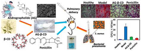 吸入性穿心莲内酯 β 环糊精包合物通过调节免疫反应治疗 金黄色葡萄球菌性 肺炎 Molecular Pharmaceutics X MOL