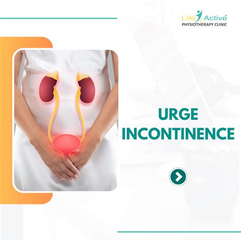 Understanding Incontinence Causes Types And Treatments Physiotherapy In Kharadi Pune By