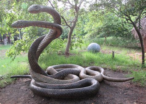 Snake Park Chennai, India | Best Time To Visit Snake Park