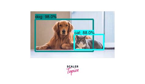 Object Detection With Opencv Scaler Topics Hot Sex Picture