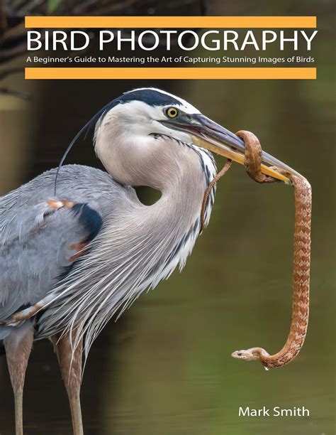 Digital Deluxe Bird Photography A Beginners Guide To Mastering The