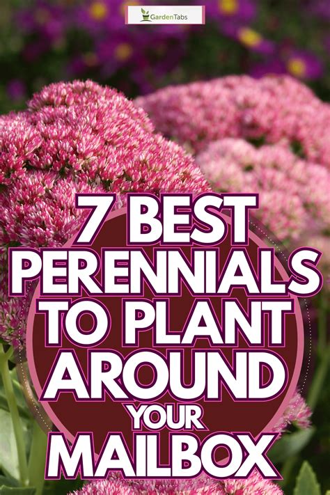 Perennials Around Mailbox Ideas