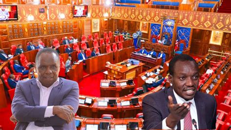 Live Drama In Senate As Senators Debate Impeachment Of Kisii Seputy