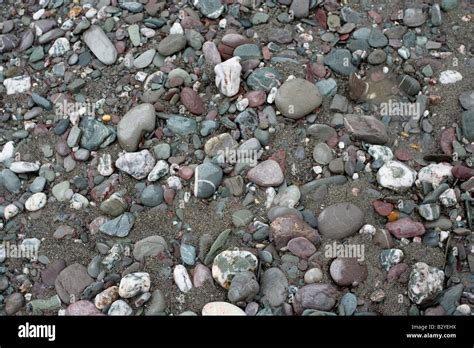 Ciottoli Di Spiaggia Oceanica Immagini E Fotografie Stock Ad Alta