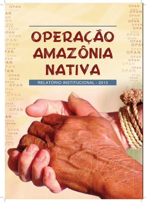 Relatório Institucional OPAN 2013 by Operação Amazônia Nativa Issuu