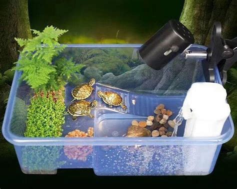 Pin By Anita C On Julio Turtle Tank Water Turtle Aquatic Turtle Tank