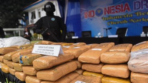 Bnn Musnahkan Kilogram Ganja Asal Aceh Foto Tempo Co