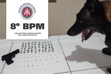 Cão Farejador Da Pm Descobre Drogas Em Carrinho De Bebidas Na Praia Em