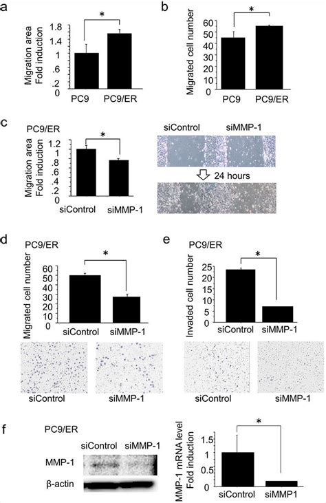 Correlation Between Mmp 1 Expression And Migration And Invasion In