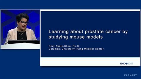 Underline Learning About Prostate Cancer By Studying Mouse Models