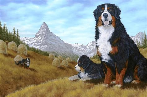 Bernese Mountain Dog Painting By Rick Bainbridge Fine Art America