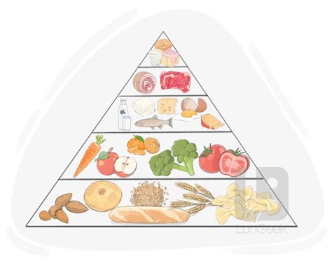 Definition Meaning Of Food Pyramid LanGeek