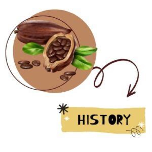 Where Do Cocoa Beans Grow: A Historical Guide!