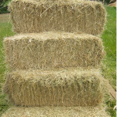 Hay Small Bale Only 5 50