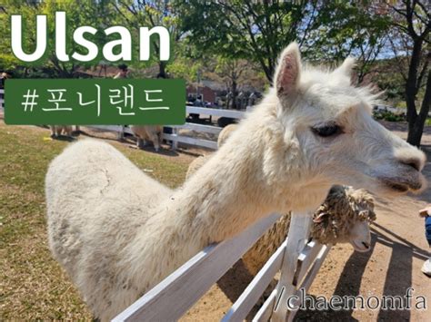 울산 언양 음식 반입이 가능한 피크닉 장소 추천 데이트 장소 추천 네이버 블로그