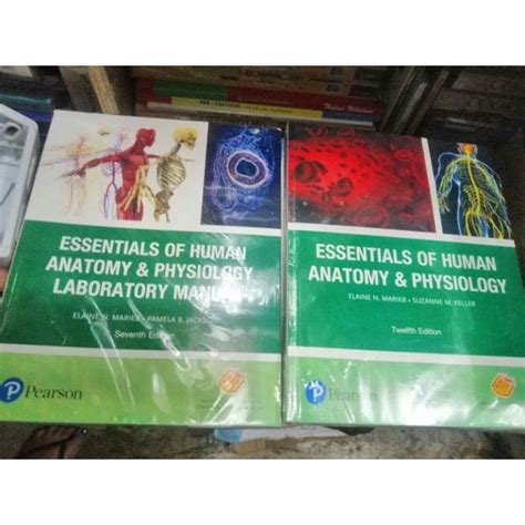 Essentials Of Human Anatomy Physiology 12th Edition Marieb Manual