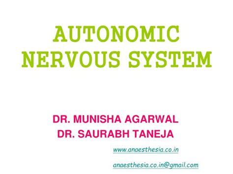 Ppt Autonomic Nervous System Powerpoint Presentation Free Download