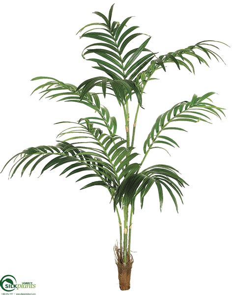 Silk Plants Direct Kentia Palm Tree Green Pack Of 1 Kentia Palm Artificial Trees Decor