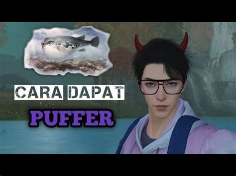 Undawn Cara Mendapatkan Ikan Puffer Youtube