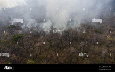 Aerial Drone View Of A Wildfire Burning Through A Forest Area Fills