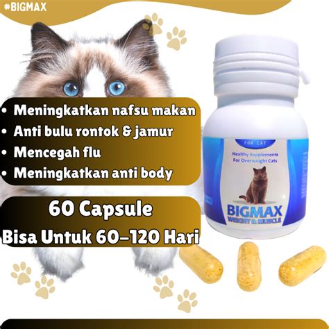 Jual BIGMAX VITAMIN KUCING NAFSU MAKAN KURUS OBAT GEMUK KUCING