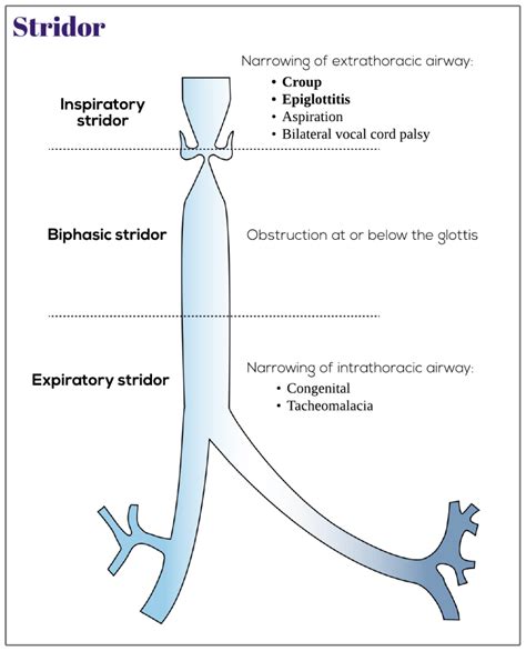 Stridor Medicine Keys For MRCPs