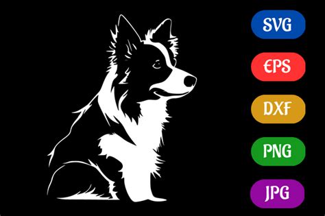 Border Collie Silhouette Svg Eps Dxf Graphic By Creative Oasis