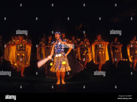 Maori Woman Student Maori Dance Dancer Dancing Polynesian Cultural