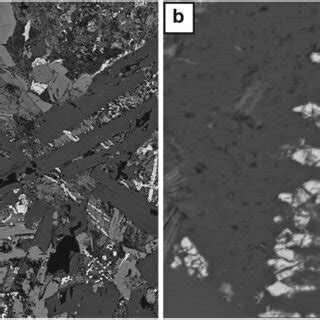 Backscatter scanning electron microscopy images for Sample ST63. (a ...