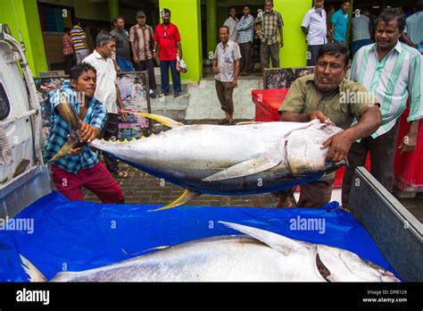 Maldives Food Hi Res Stock Photography And Images Alamy