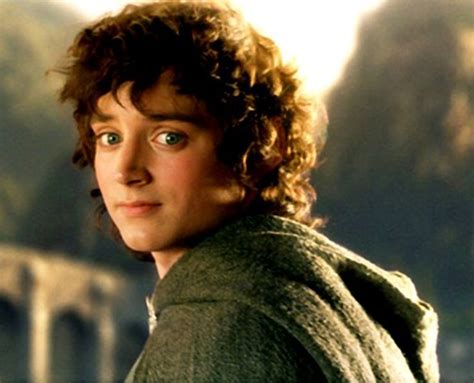 Frodo Baggins - Incredible Characters Wiki