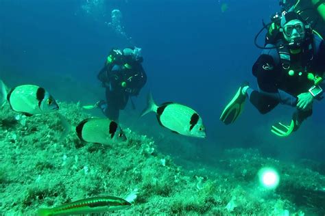 Diving In Provence French Riviera Rove Me