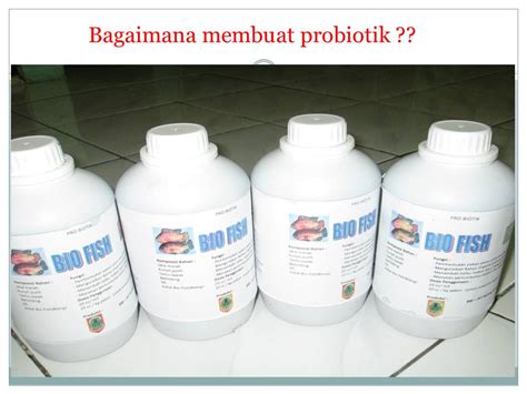 Materi Tertayang Penyuluhan Perikanan PROBIOTIK PADA BUDIDAYA IKAN