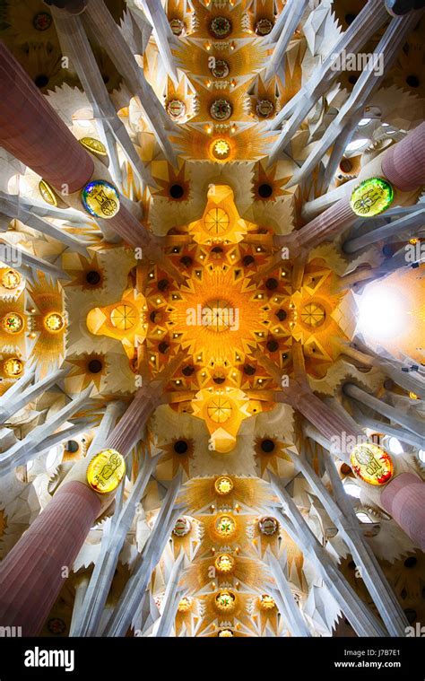 The Ceiling Of Gaudi S Sagrada Familia By Mark Higham Stock Photo Alamy