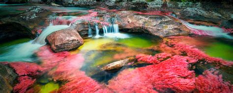 Parque Nacional Natural Sierra De La Macarena Parques Nacionales