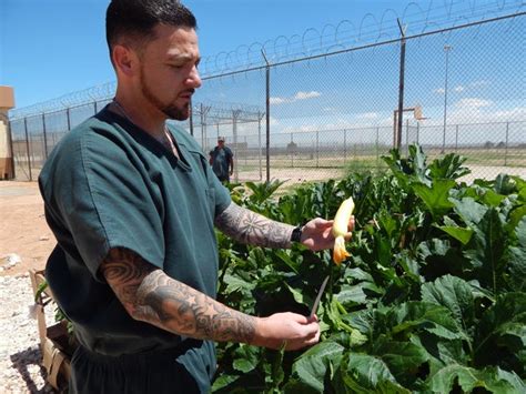 NMSU helps Southern New Mexico Correctional Facility inmates grow skills