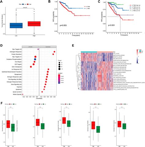 Frontiers Identification Of Molecular Subtypes And A Prognostic Signature Based On Chromatin