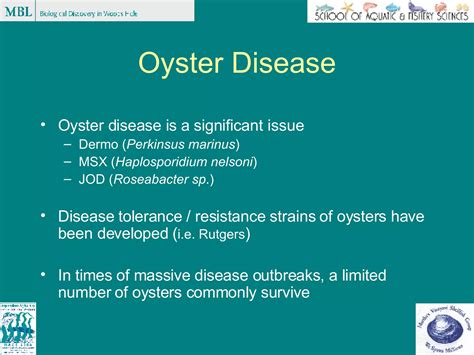 Disease Research - Oysters | PPT