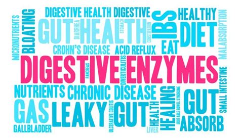 Health Benefits Of Digestive Enzymes Natural Food Series