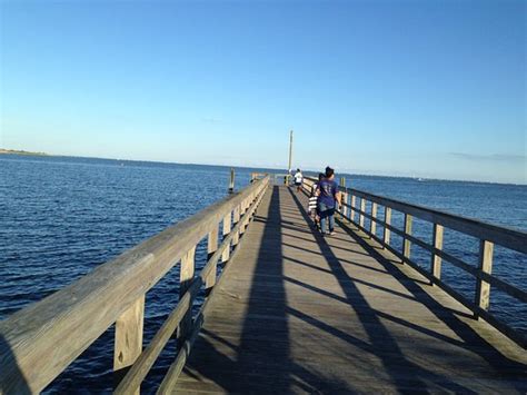 John Chesnut Sr Park Palm Harbor Fl Top Tips Before You Go With Photos Tripadvisor