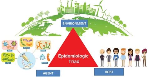 Tríada epidemiológica Agente huésped medio ambiente Epidemiología