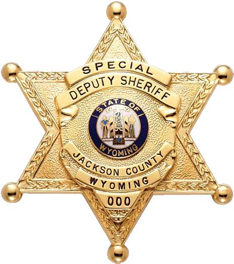 Download Sheriff Badge Png Transparent Court Sheriff Badge Png