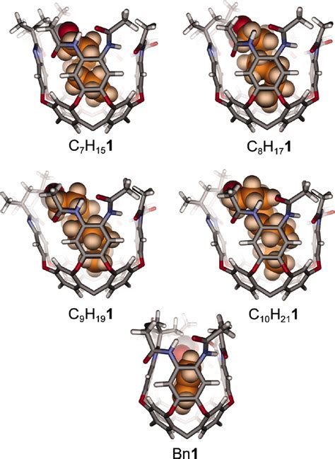 Self Fulfilling Cavitands Packing Alkyl Chains Into Small Spaces Pnas