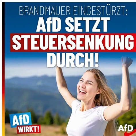 Brandmauer eingestürzt AfD setzt Steuersenkung durch AfD Kusel