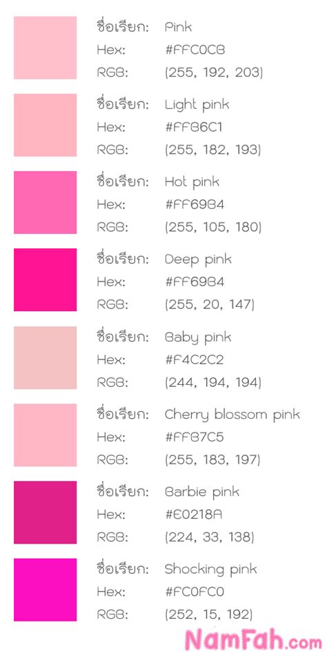 ทำความรู้จัก สีชมพู Namfah