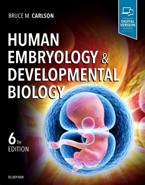 Human Embryology And Developmental Biology Edition 7 By Bruce M